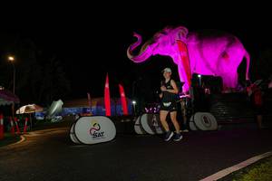 BIB: 
                            <button type="button" onclick="openModal(26544274)" class="btn btn-primary btn-sm float-right btn-popup" data-toggle="modal" data-target=".modal-high-quality">
                        <i class="fas fa-shopping-cart"></i> Add to Cart
                    </button>
                                            <button type="button" onclick="isThisMe(26544274, true)" class="btn btn-success btn-sm float-right btn-popup btn-isme hidden" data-toggle="tooltip" data-placement="bottom" title="นี่คือรูปของคุณใช่ไหม คลิกที่นี่เพื่อเอาเข้าอัลบั้ม">
                        <i class="fas fa-plus"></i> Add to album
                    </button>
                    <button type="button" onclick="isThisMe(26544274, false)" class="btn btn-warning btn-sm float-right btn-popup btn-isnotme hidden">
                        <i class="fas fa-ban"></i> Remove from album
                    </button>